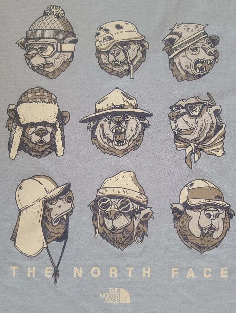 The North Face Bears Graphic V-Neck Tee Tri-Blend Light Blue Women's Size Small - Picture 2 of 11
